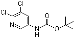 structure of CAS# 275383-96-5, (5,6-二氯吡啶-3-基)氨基甲酸叔丁酯