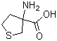 3-Aminotetrahydrothiophene-3-carboxylic acid molecular structure (CAS 32418-99-8)
