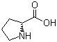 Proline molecular structure (CAS 344-25-2)