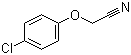 structure of CAS# 3598-13-8, 2-(4-Chlorophenoxy)acetonitrile