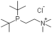 structure of CAS# 360577-23-7, 2-[Bis(tert-butyl)phosphino]-N,N,N-trimethylethanaminium chloride