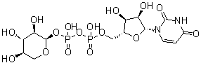 CAS 登录号：3616-06-6, 二磷酸尿苷木糖