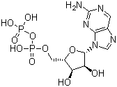 CAS # 36475-53-3, 2-Aminopurine ribodylic acid