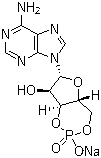 structure of CAS# 37839-81-9, Adenosine 3',5'-phosphoric acid sodium salt