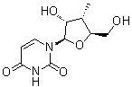 CAS # 444020-64-8, 3'-Deoxy-3'-methyluridine