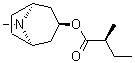 CAS # 495-82-9, Valtropine, (2S)-2-Methylbutanoic acid (3-endo)-8-methyl-8-azabicyclo[3.2.1]oct-3-yl ester