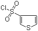 structure of CAS# 51175-71-4, 3-噻吩磺酰氯
