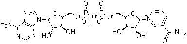 structure of CAS# 53-84-9, β-Diphosphopyridine nucleotide