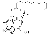 CAS # 54706-70-6, Dodecanoic acid ingenol ester