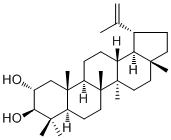 CAS # 61448-03-1, 2alpha-Hydroxylupeol, Lup-20(29)-ene-2alpha,3beta-diol
