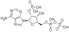CAS # 62230-89-1, 2'-Phosphoadenosine 5'-phosphosulfate, Adenosine 2'-phosphate 5'-phosphosulfate, IsoPAPS, iso-PAPS, 2'-Adenylic acid 5'-(dihydrogen phosphate) 5'-anhydride with sulfuric acid