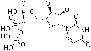 structure of CAS# 63-39-8, Uridine 5'-(tetrahydrogen triphosphate)