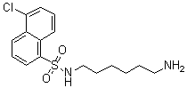 CAS 登录号：65595-90-6, N-(6-氨基己基)-5-氯-1-萘磺酰胺