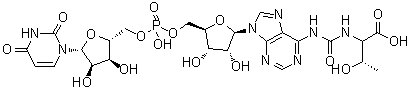 CAS # 66004-53-3, (S)-Uridylyl-(3'→5')-N-[[(1-carboxy-2-hydroxypropyl)amino]carbonyl]adenosine