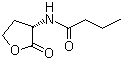 CAS # 67605-85-0, N-[(3S)-Tetrahydro-2-oxo-3-furanyl]butanamide