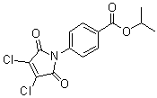structure of CAS# 704878-75-1, 4-(3,4-Dichloro-2,5-dihydro-2,5-dioxo-1H-pyrrol-1-yl)benzoic acid 1-methylethyl ester
