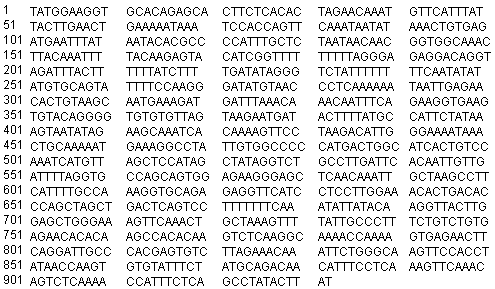 CAS # 719892-61-2, GenBank CR050980
