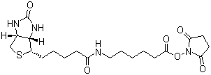 structure of CAS# 72040-63-2, 生物素化-epsilon-氨基己酸-N-羟基丁二酰亚胺活化酯