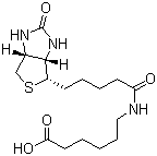 structure of CAS# 72040-64-3, N-生物素己酸
