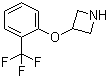 CAS # 76263-24-6, 3-[2-(Trifluoromethyl)phenoxy]azetidine