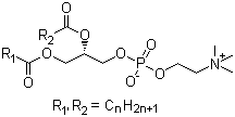 structure of CAS# 8002-43-5, Lecithin