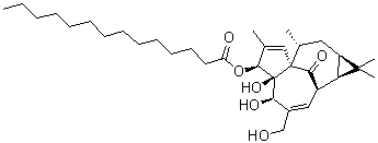 CAS # 83036-62-8, 3-O-Tetradecanoylingenol