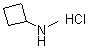 structure of CAS# 848497-98-3, N-甲基环丁胺盐酸盐