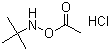 structure of CAS# 851074-40-3, N-(乙酰基氧基)-2-甲基-2-丙胺盐酸盐