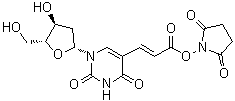 2'-Deoxy-5-[(1E)-3-[(2,5-dioxo-1-pyrrolidinyl)oxy]-3-oxo-1-propenyl]uridine molecular structure (CAS 869355-24-8)