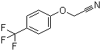 CAS # 874804-02-1, 2-[4-(Trifluoromethyl)phenoxy]acetonitrile