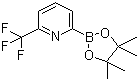 structure of CAS# 881402-16-0, 6-(Trifluoromethyl)pyridine-2-boronic acid pinacol ester