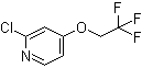 CAS # 885277-01-0, 2-Chloro-4-(2,2,2-trifluoroethoxy)pyridine