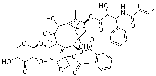 CAS 登录号：90332-64-2, 7-木糖基-10-去乙酰基三尖杉宁碱