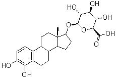 CAS 登录号：90746-96-6, 4-羟基雌甾二醇 17-葡糖苷酸