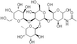 CAS # 909890-21-7, O-alpha-L-Fucopyranosyl-(1 → 2)-O-[alpha-D-galactopyranosyl-(1 → 3)]-O-beta-D-galactopyranosyl-(1 → 4)-2-acetamido-2-deoxy-D-glucopyranose