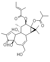 CAS 登录号：92214-54-5, 12-O-(E)-2-甲基-2-丁烯酰基佛波醇-13-异丁酸酯