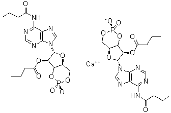 CAS # 938448-87-4, N-(1-Oxobutyl)adenosine cyclic 3',5'-(hydrogen phosphate) 2'-butanoate calcium salt (2:1)