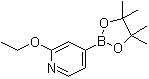 CAS # 957346-47-3, 2-Ethoxypyridine-4-boronic acid pinacol ester, 2-Ethoxy-4-(4,4,5,5-tetramethyl-[1,3,2]dioxaborolan-2-yl)pyridine