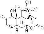 structure of CAS# 981-15-7, 臭椿酮