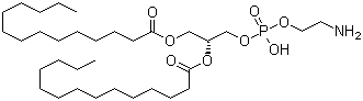 CAS # 998-07-2, Dimyristoyl phosphoethanolamine, 1,2-Dimyristoyl-sn-glycero-3-phosphoethanolamine